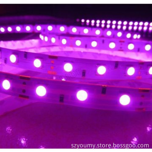 SMD 5050 Pink Color IP65 60 LEDs/m Flexible Light Strip for Party Decoration, ODM and OEM Welcomed